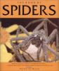 The_book_of_spiders