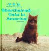 Shorthaired_cats_in_America
