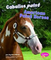 American_paint_horses__Caballos_paint