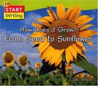 How_does_it_grow__from_seed_to_sunflower