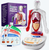 Human_Body_Model_for_Kids__Interactive_Anatomy_Toys
